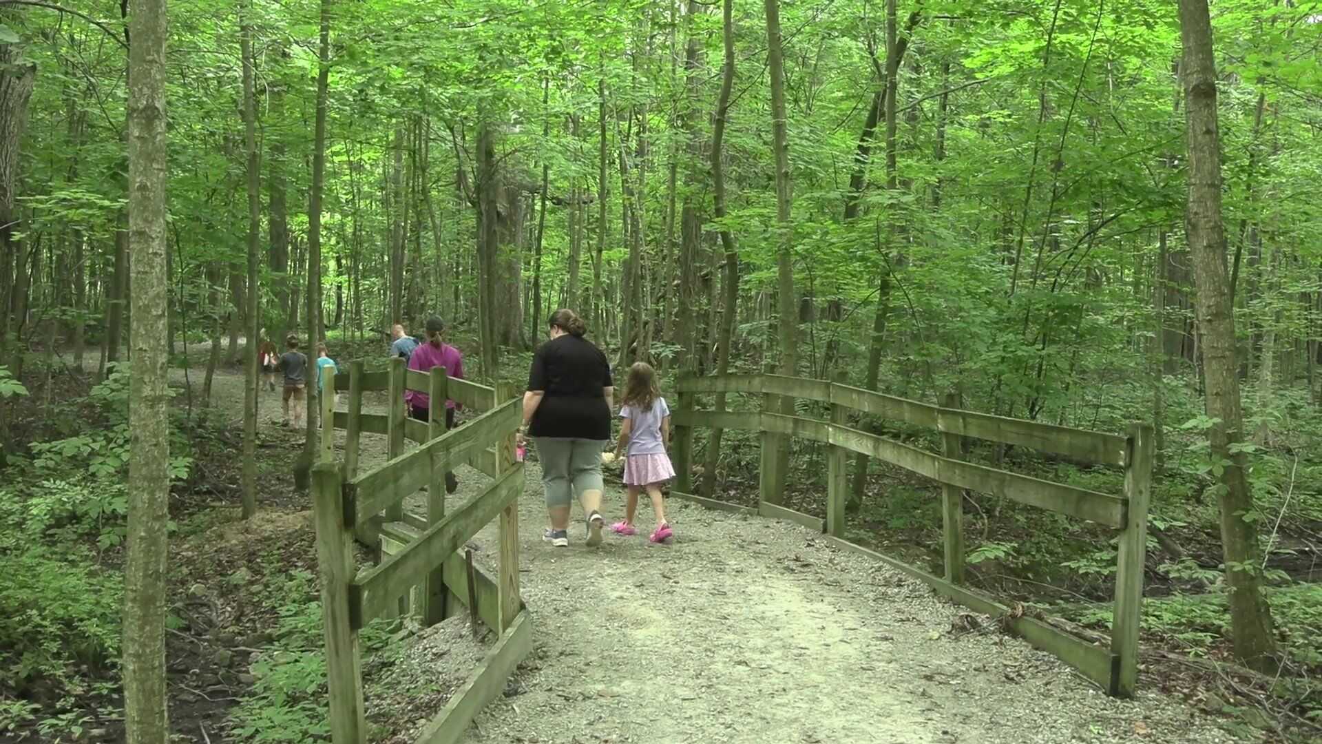 Johnny Appleseed Metro Park District shows off local spiders
